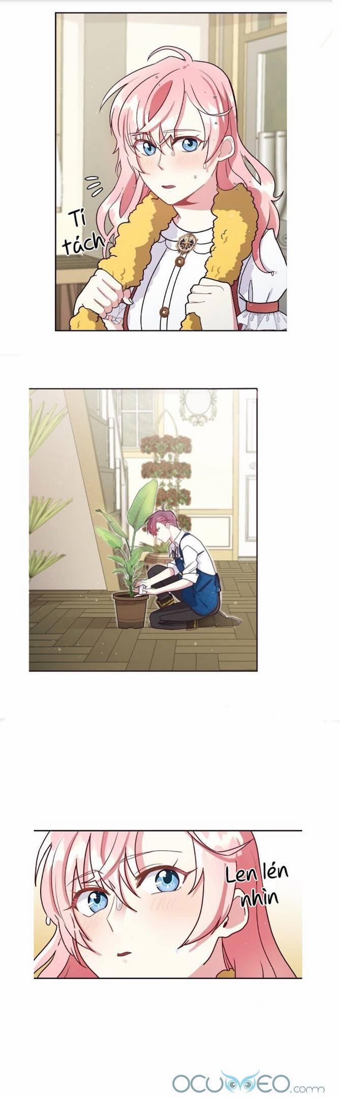 Xin Chào, Tôi Là Người Làm Vườn! 6 trang 1