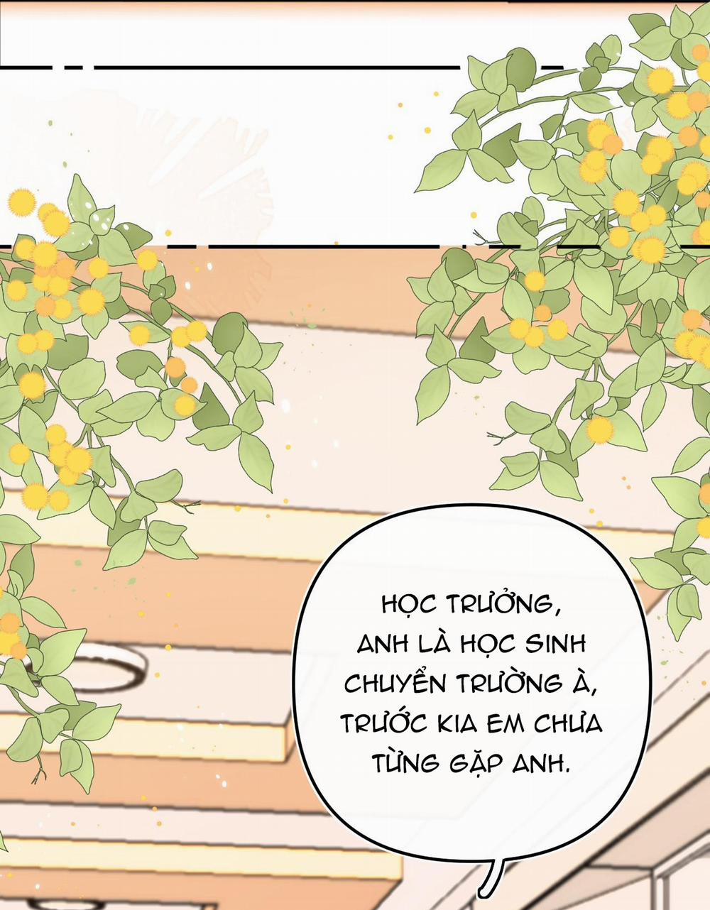 Xin Được Chỉ Giáo 8.1 trang 16