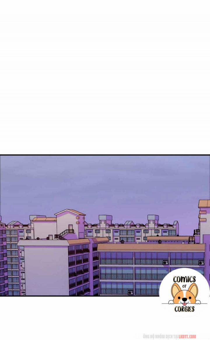 Xin Hãy Cứu Lấy Chồng Tôi 3 trang 1