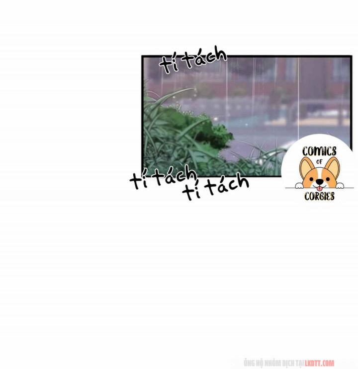 Xin Hãy Cứu Lấy Chồng Tôi 3 trang 3