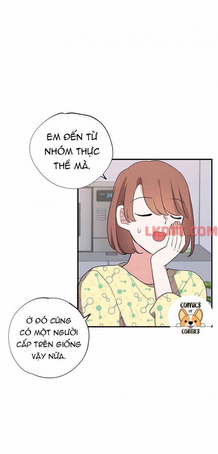 Xin Hãy Cứu Lấy Chồng Tôi 4 trang 26