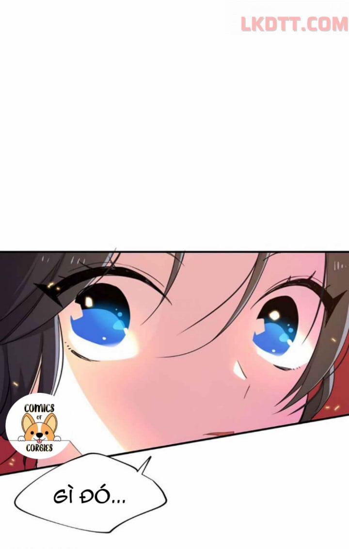 Xin Hãy Cứu Lấy Chồng Tôi 5 trang 5