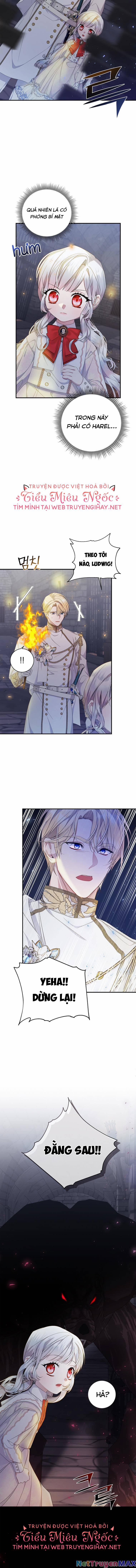 Xin Hãy Nhận Con Làm Con Đi Mà, Papa 16 trang 13