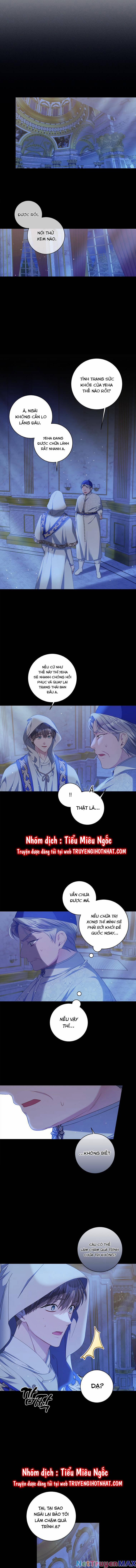 Xin Hãy Nhận Con Làm Con Đi Mà, Papa 25 trang 6