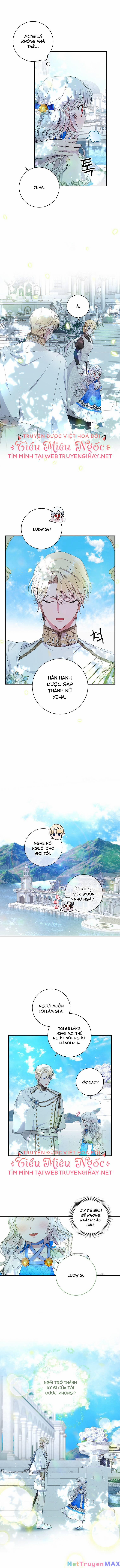 Xin Hãy Nhận Con Làm Con Đi Mà, Papa 5 trang 8