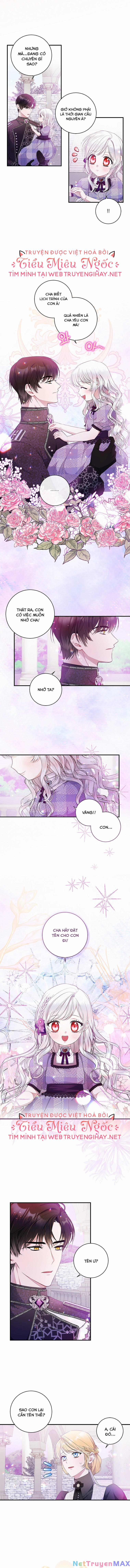 Xin Hãy Nhận Con Làm Con Đi Mà, Papa 6 trang 2