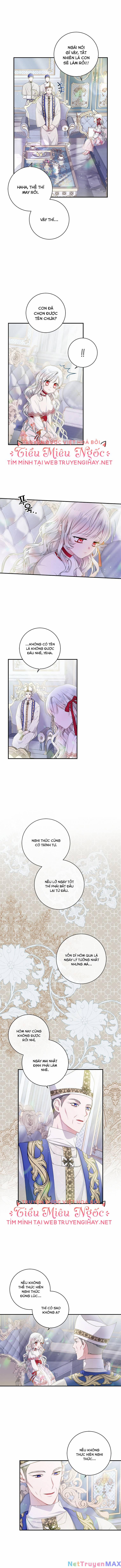 Xin Hãy Nhận Con Làm Con Đi Mà, Papa 7 trang 4