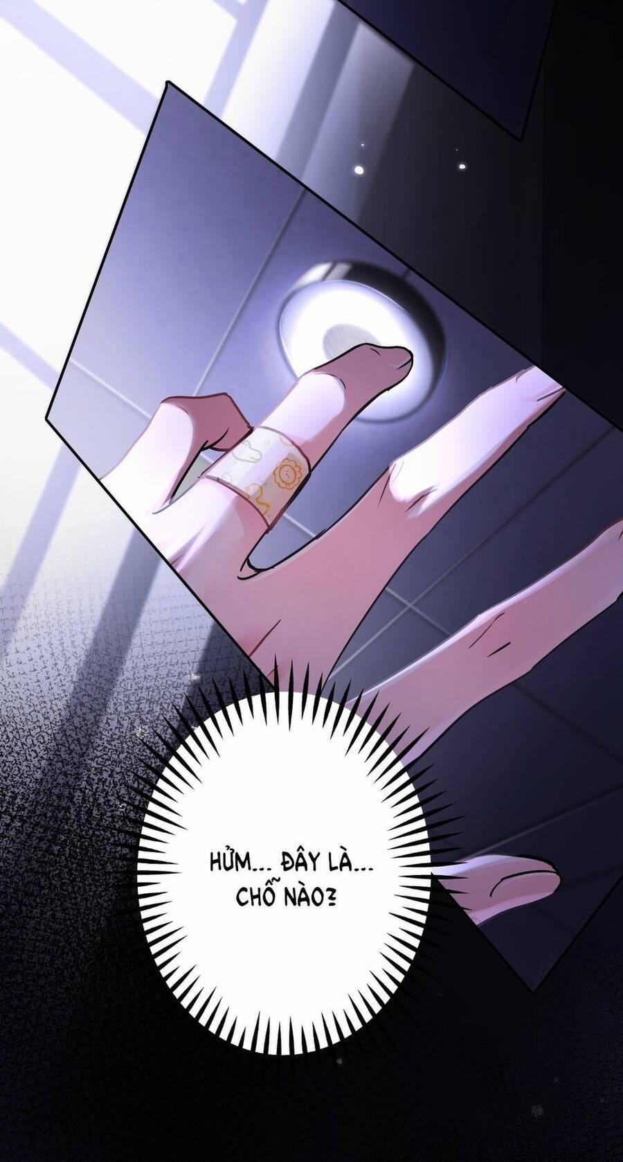 Xin Lỗi, Tôi Cũng Là Lão Đại 1 trang 3