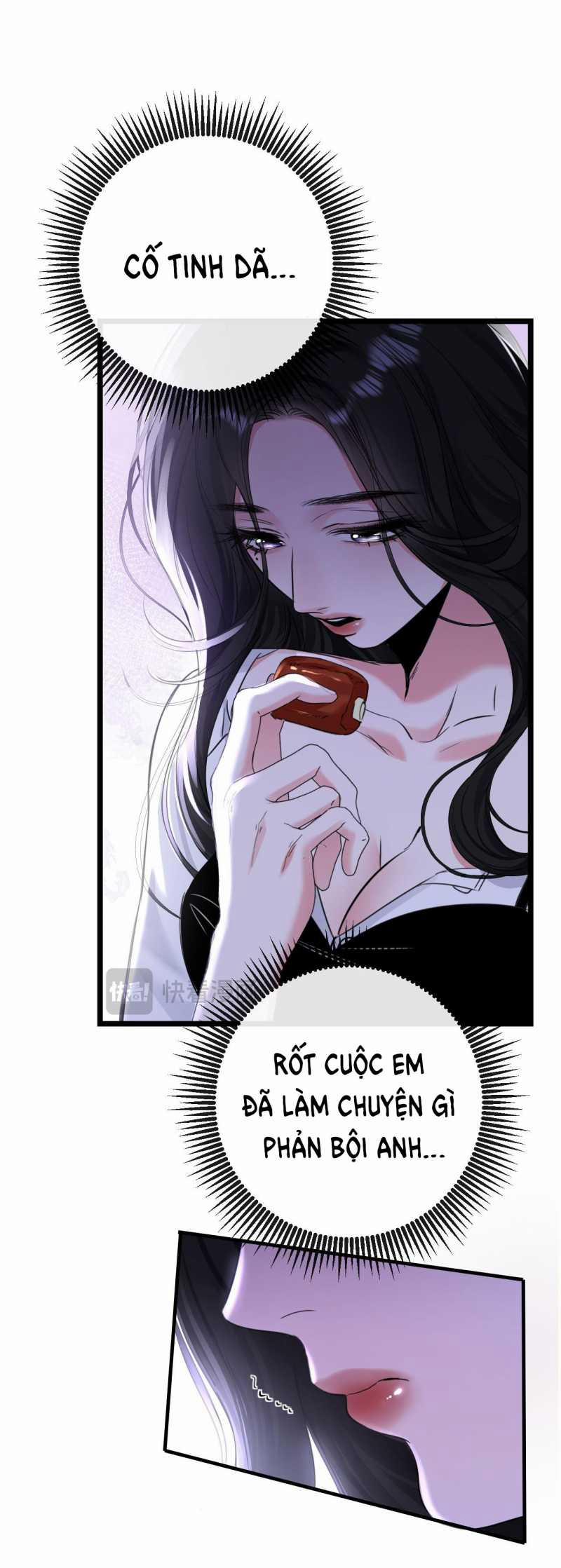 Xin Lỗi, Tôi Cũng Là Lão Đại 11.2 trang 13