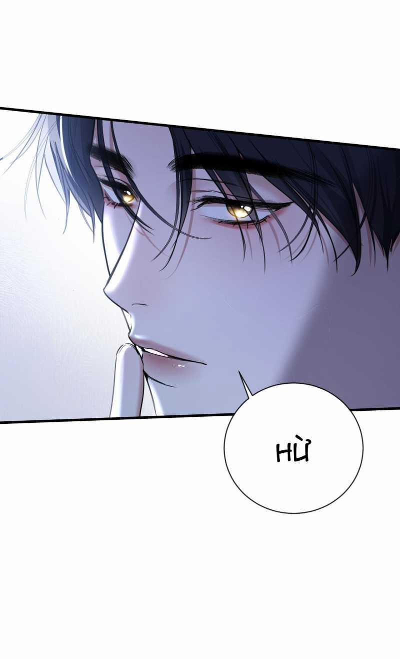 Xin Lỗi, Tôi Cũng Là Lão Đại 12.1 trang 13