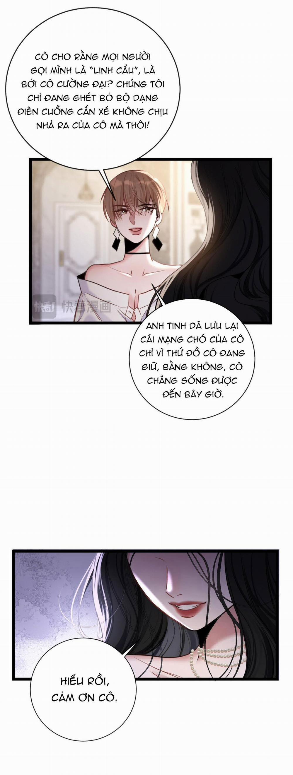 Xin Lỗi, Tôi Cũng Là Lão Đại 13.2 trang 0