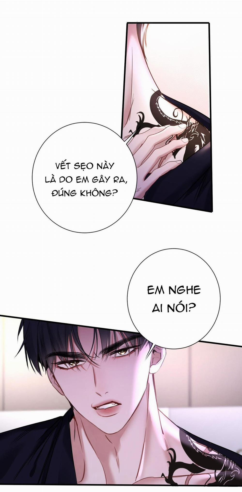 Xin Lỗi, Tôi Cũng Là Lão Đại 13.2 trang 13