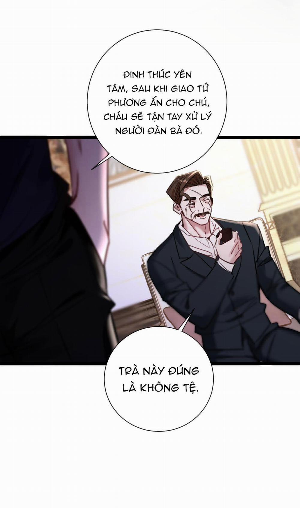 Xin Lỗi, Tôi Cũng Là Lão Đại 13.2 trang 3