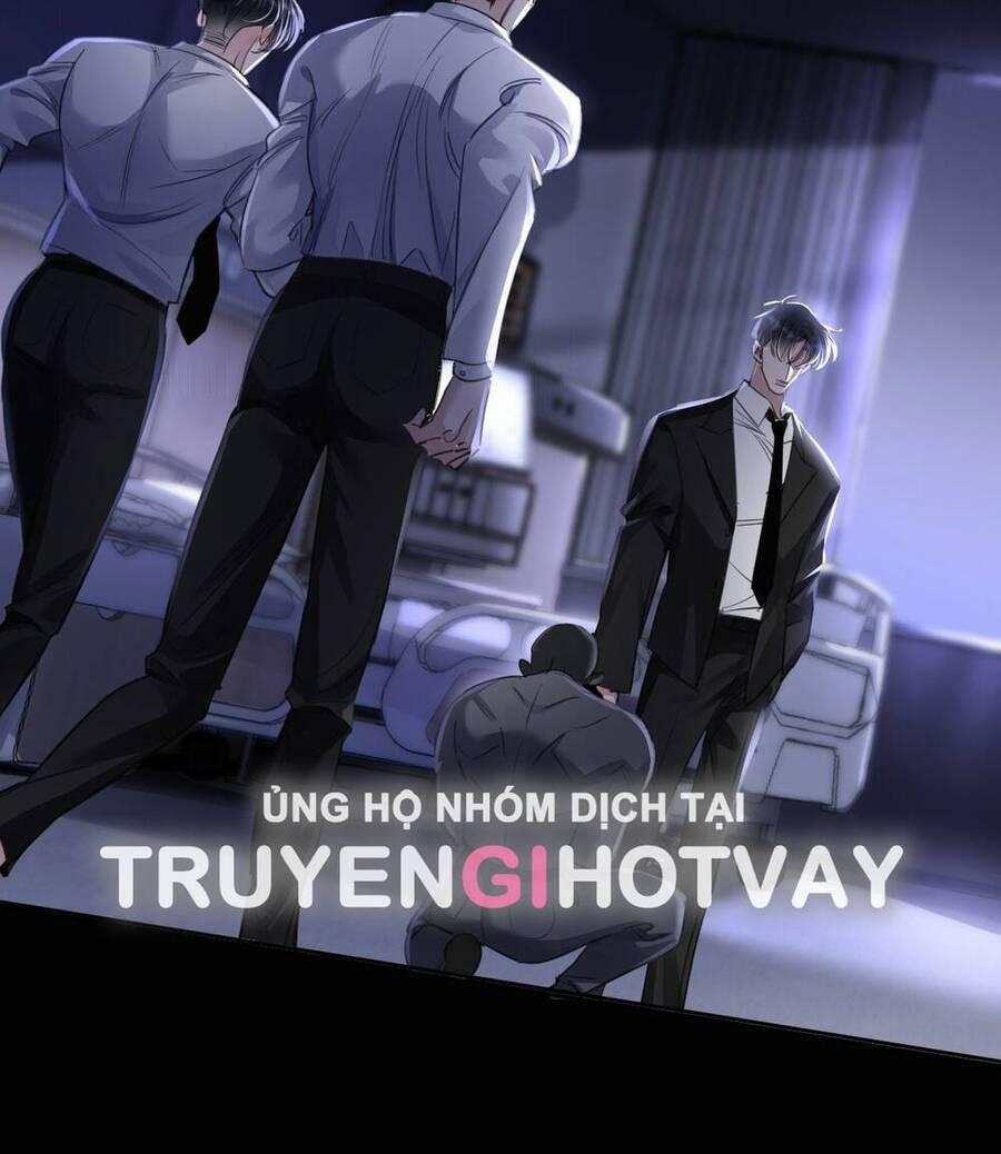 Xin Lỗi, Tôi Cũng Là Lão Đại 2 trang 11