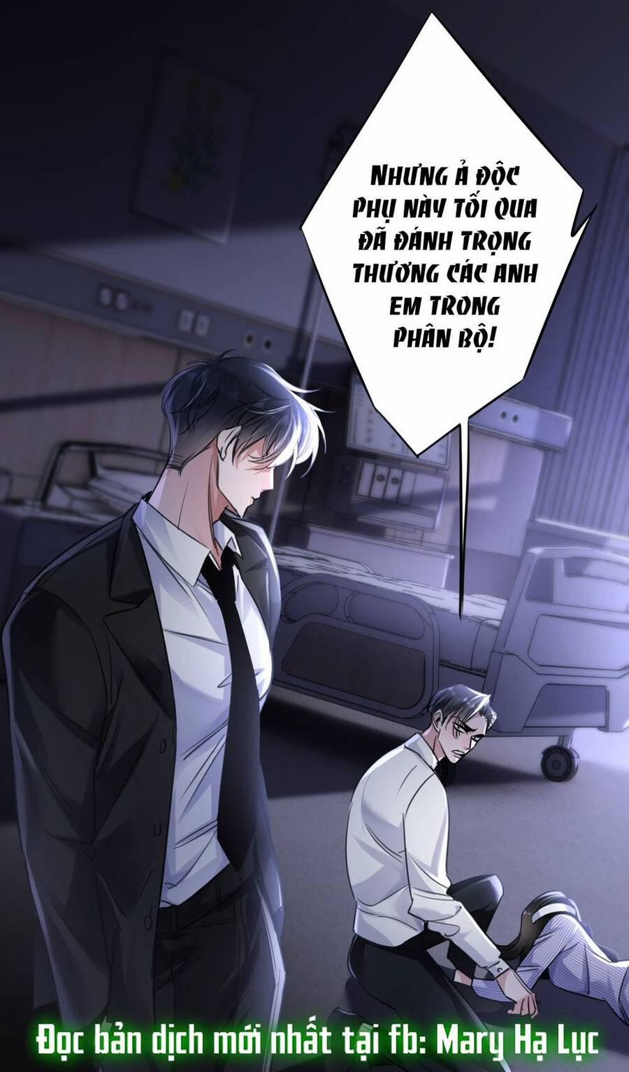 Xin Lỗi, Tôi Cũng Là Lão Đại 2 trang 17