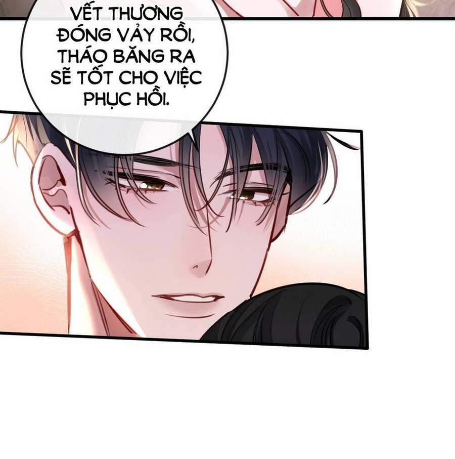 Xin Lỗi, Tôi Cũng Là Lão Đại 3 trang 12