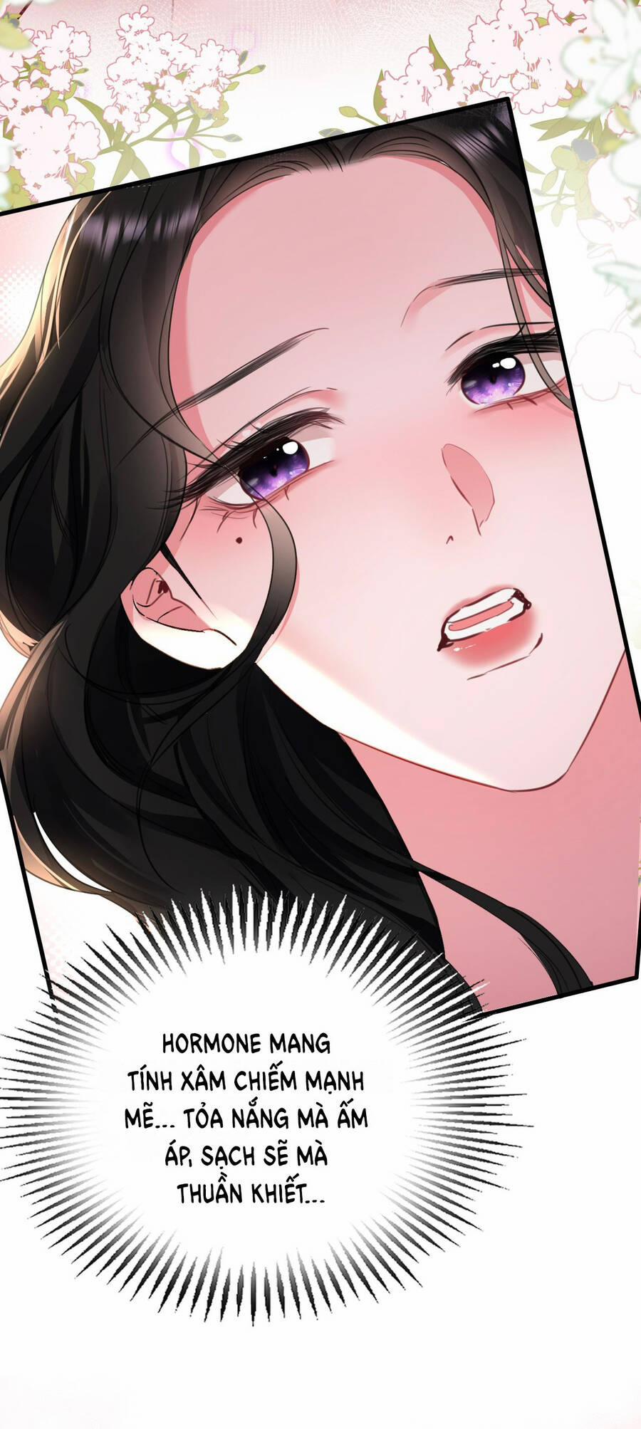 Xin Lỗi, Tôi Cũng Là Lão Đại 5.2 trang 7