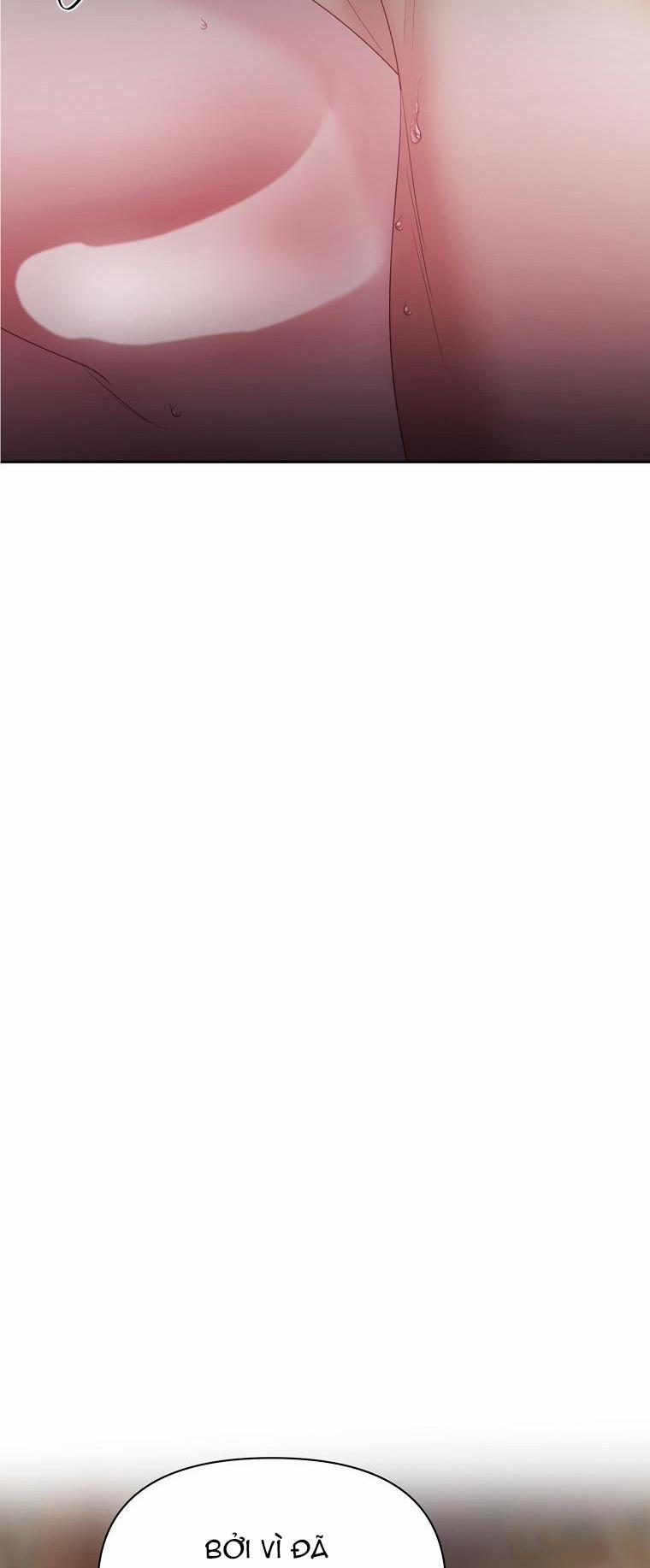 Xuân Phong Viên Mãn 17.5 trang 12