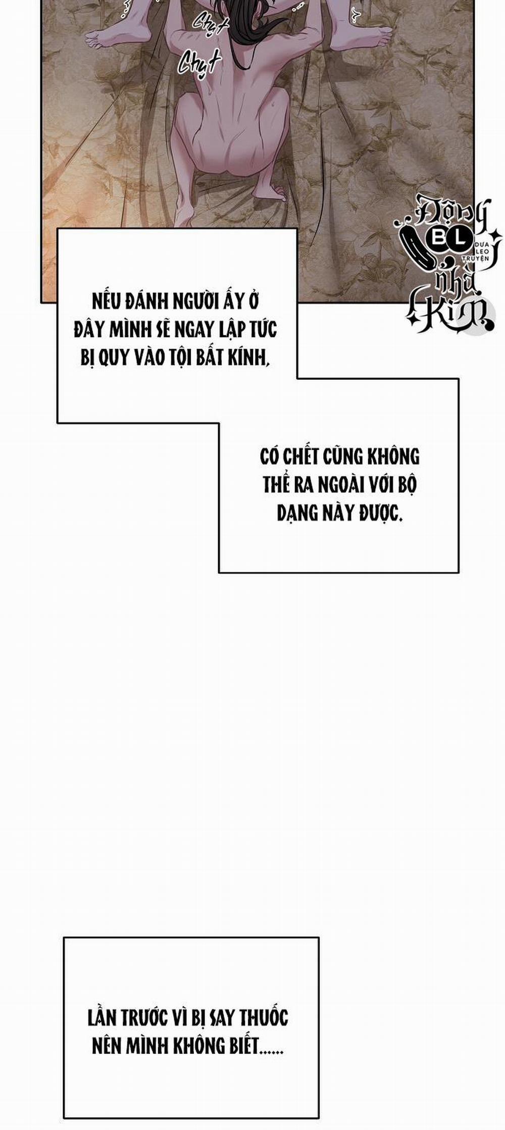 Xuân Phong Viên Mãn 22 trang 36