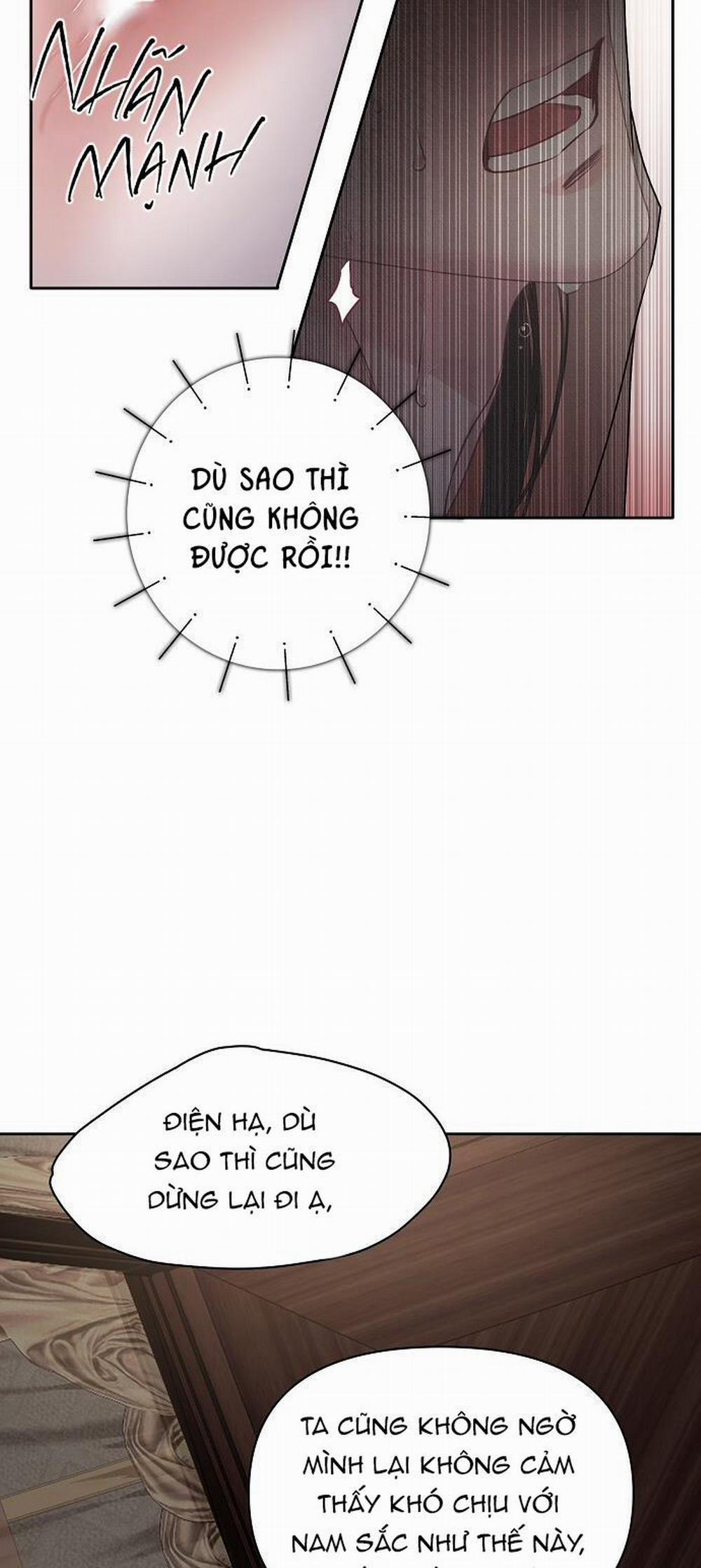 Xuân Phong Viên Mãn 22 trang 46