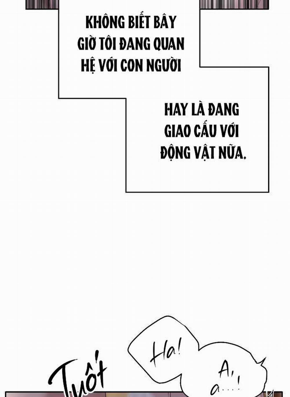 Xuân Phong Viên Mãn 26 trang 64