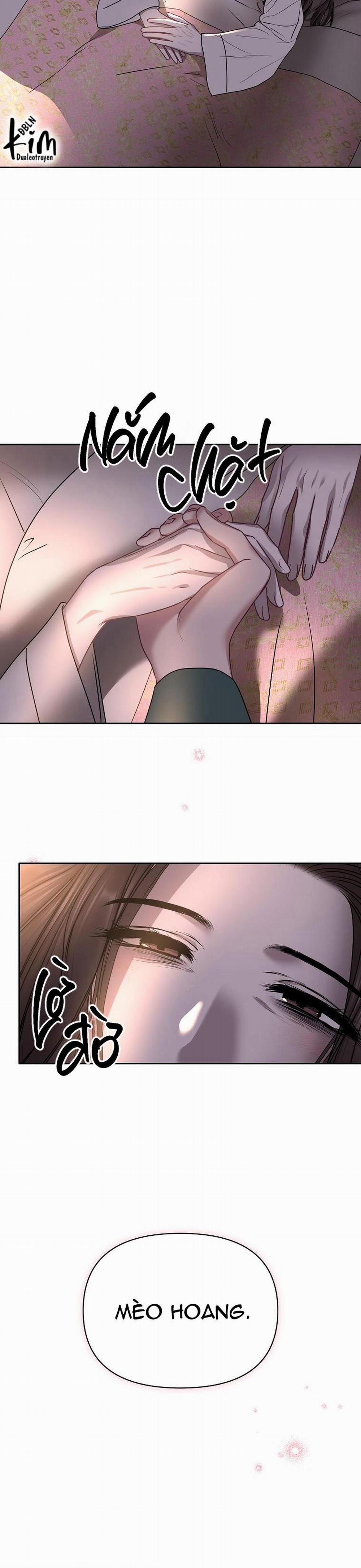 Xuân Phong Viên Mãn 40 trang 28