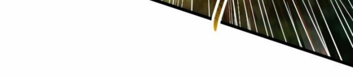 Xuân Thu Bá Đồ 237 trang 6