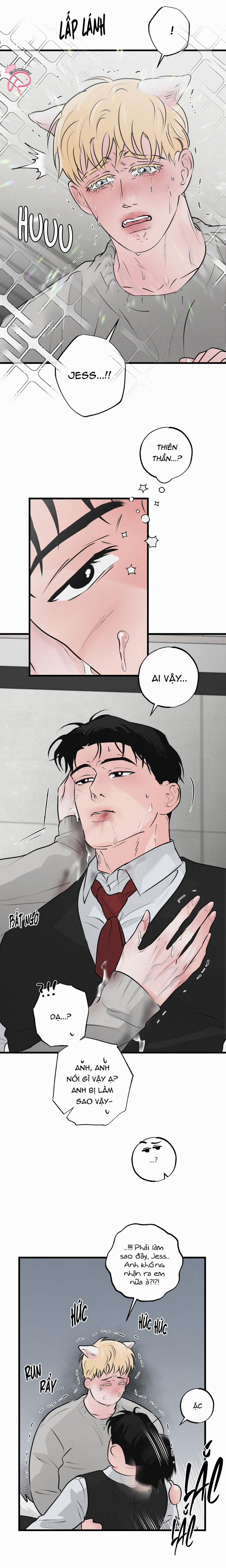 Xứng Đôi Vừa Lứa 15 trang 1