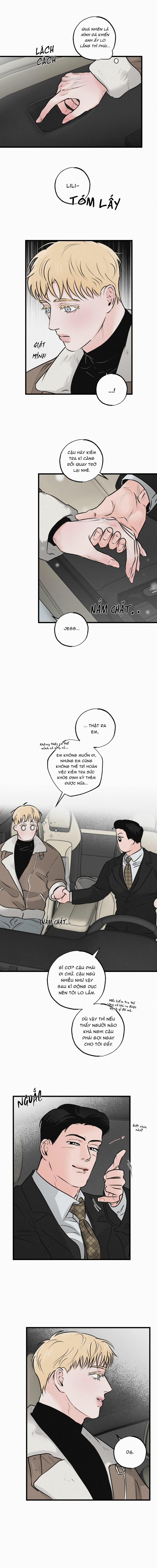 Xứng Đôi Vừa Lứa 16 trang 12