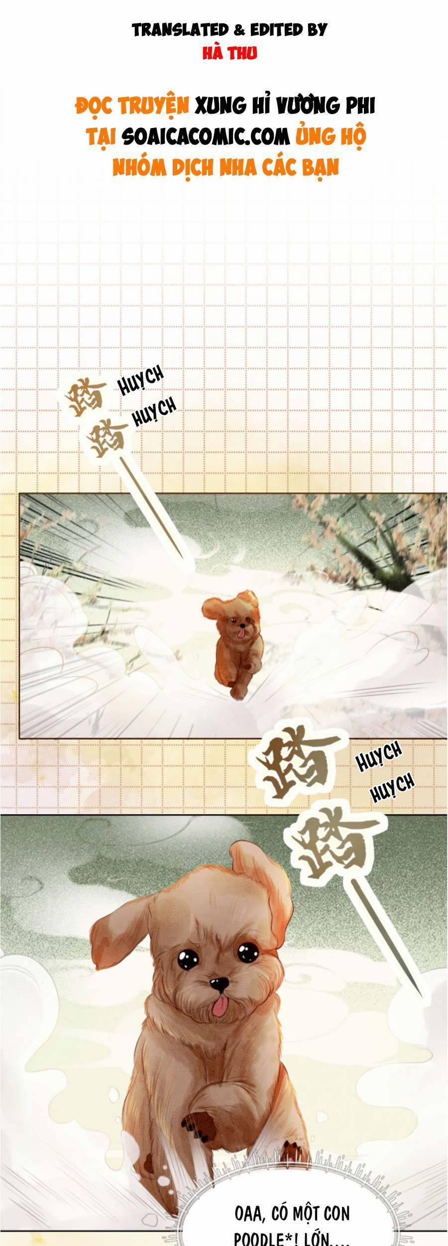 Xung Hỉ Vương Phi 35 trang 0