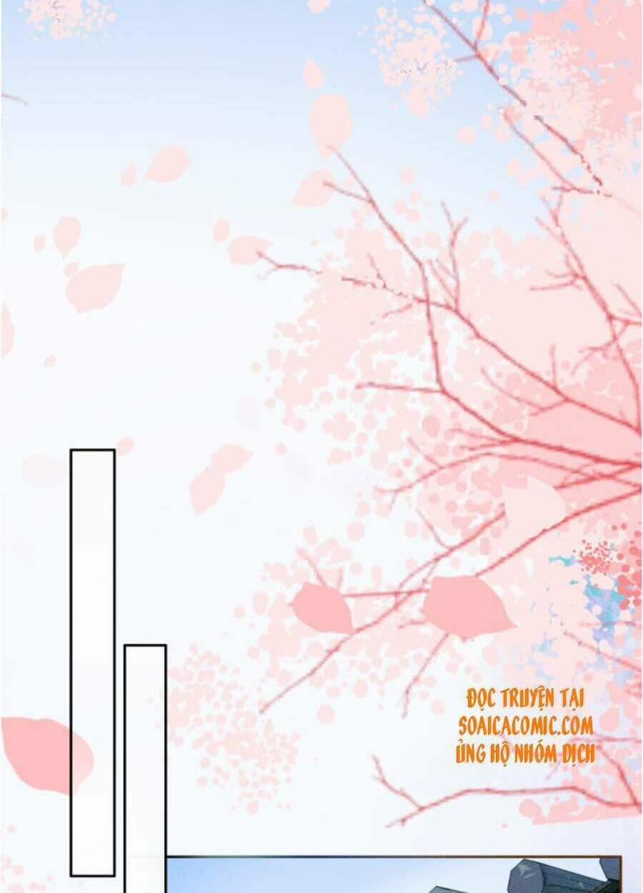 Xung Hỉ Vương Phi 46 trang 25