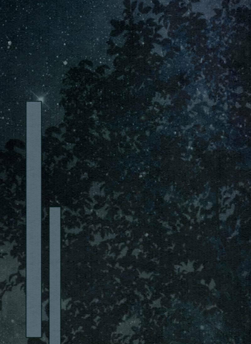 Xung Hỉ Vương Phi 54 trang 12