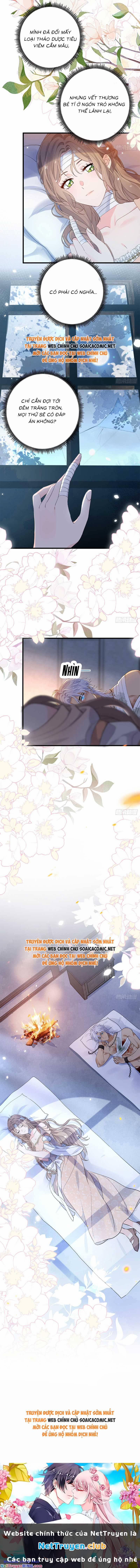 Xuyên Đến Dị Giới Toàn Trai Đẹp 11 trang 8