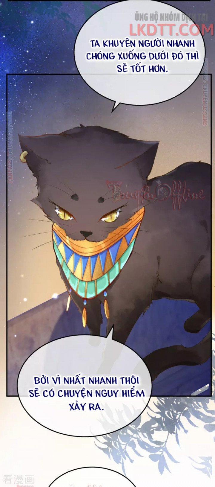 Xuyên Không Đến Ai Câp – Trở Thành Nàng Dâu Của Vua 13 trang 4