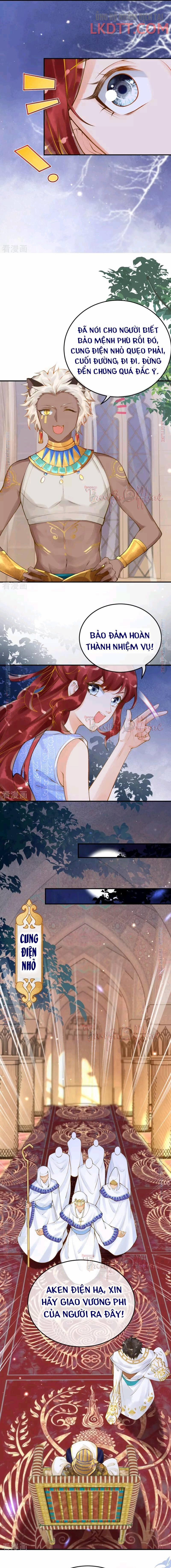 Xuyên Không Đến Ai Câp – Trở Thành Nàng Dâu Của Vua 16.1 trang 5