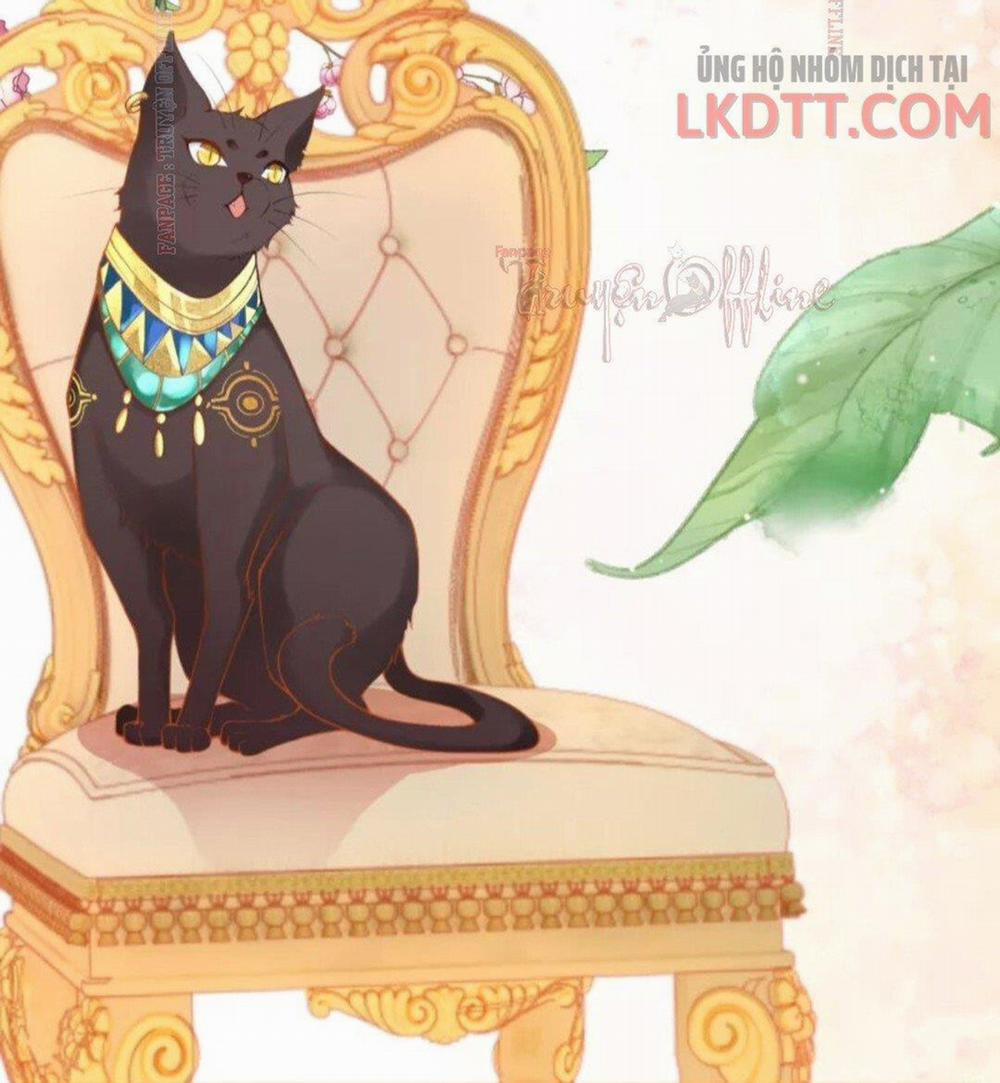 Xuyên Không Đến Ai Câp – Trở Thành Nàng Dâu Của Vua 16.2 trang 8