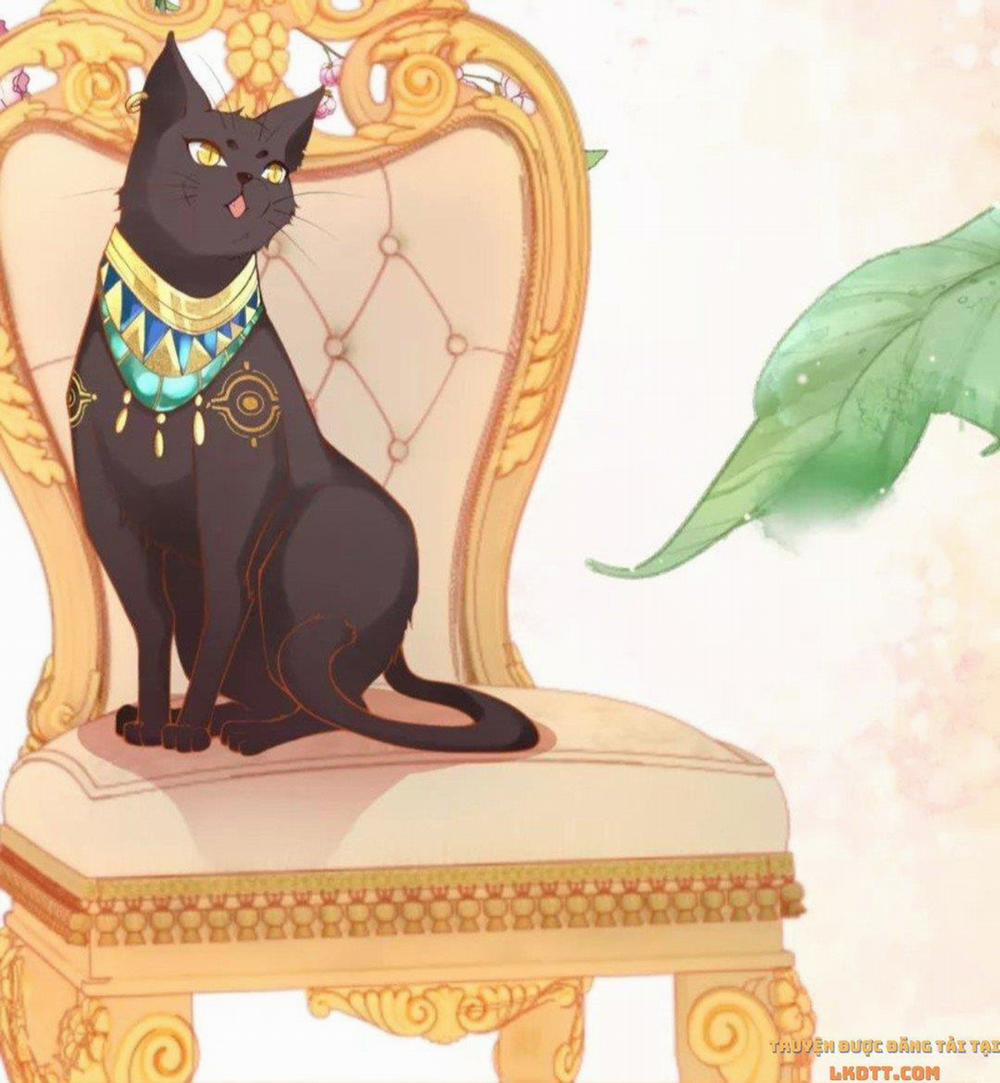 Xuyên Không Đến Ai Câp – Trở Thành Nàng Dâu Của Vua 18.2 trang 11