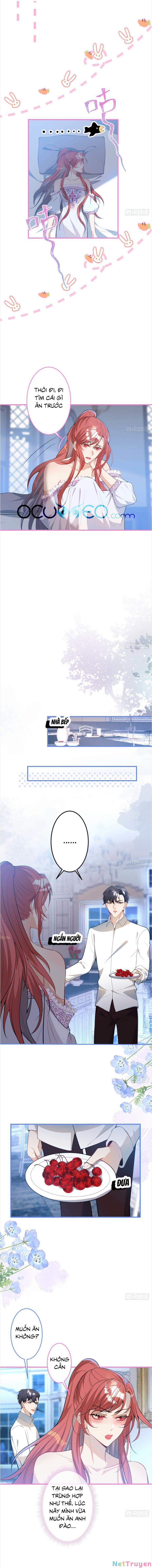 Xuyên Không Đến Thế Giới Trở Thành Đóa Hoa Của Anh 22 trang 0