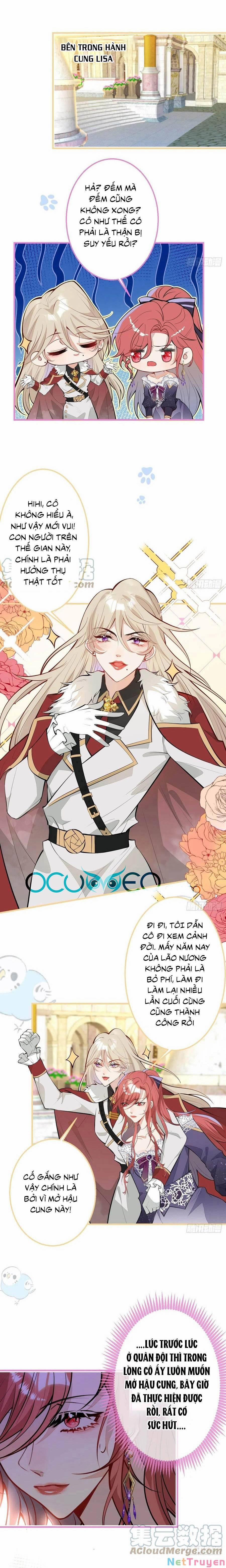 Xuyên Không Đến Thế Giới Trở Thành Đóa Hoa Của Anh 31.2 trang 0