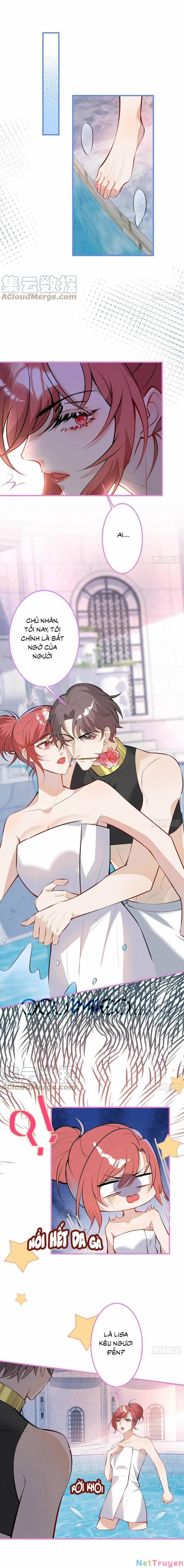 Xuyên Không Đến Thế Giới Trở Thành Đóa Hoa Của Anh 31.2 trang 5