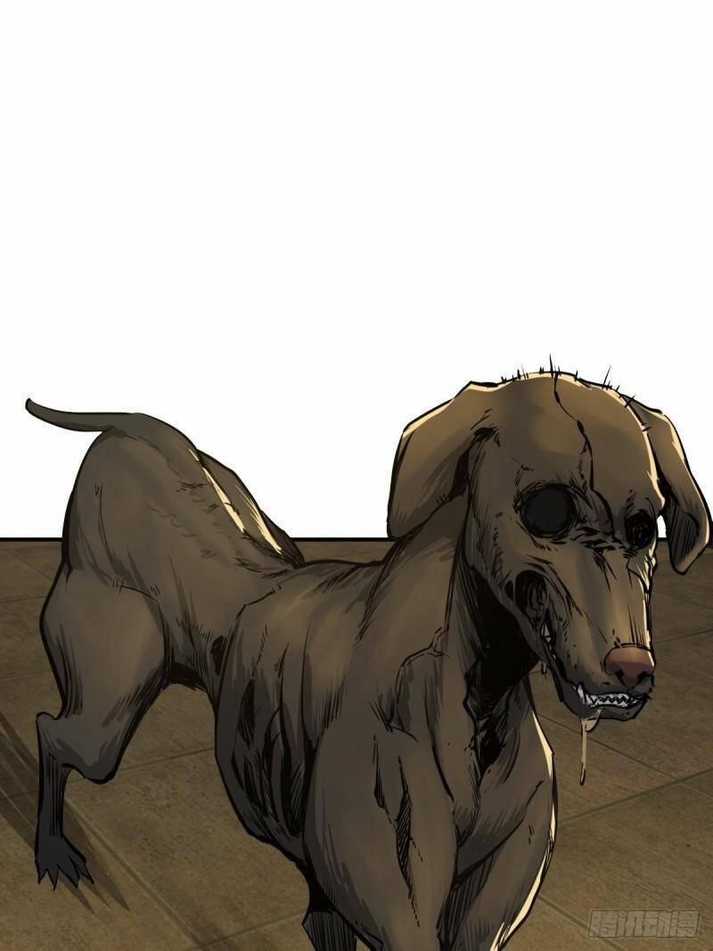 Xuyên Không Thành Chim 113 trang 31