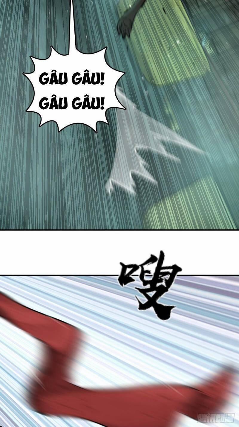 Xuyên Không Thành Chim 113 trang 56