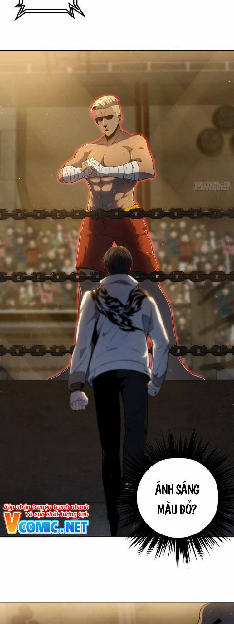 Xuyên Không Thành Chim 2 trang 37