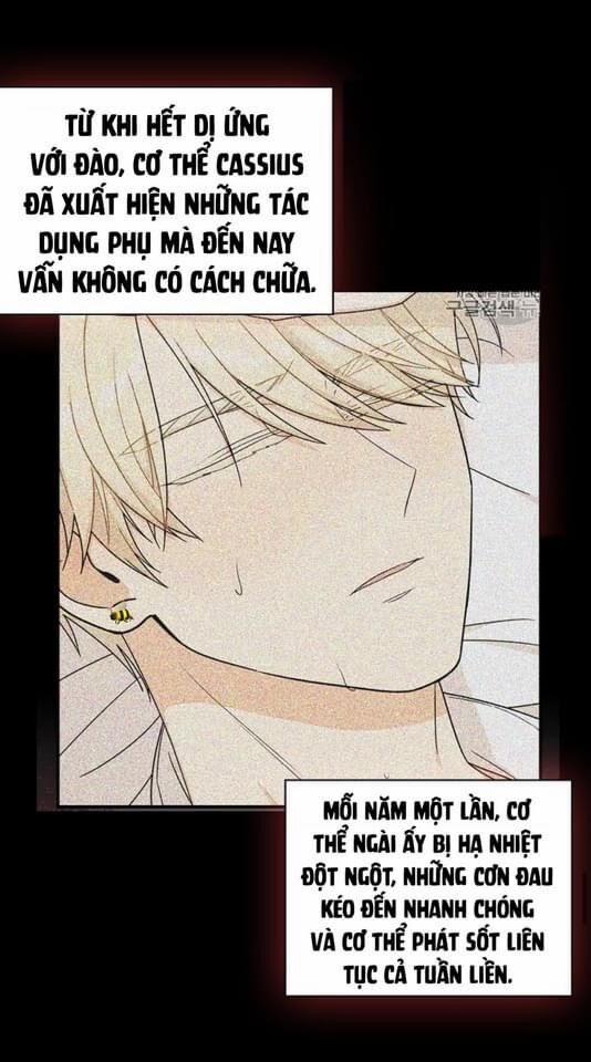 Xuyên Không Thành Mami Của Nhân Vật Phản Diện 30 trang 54