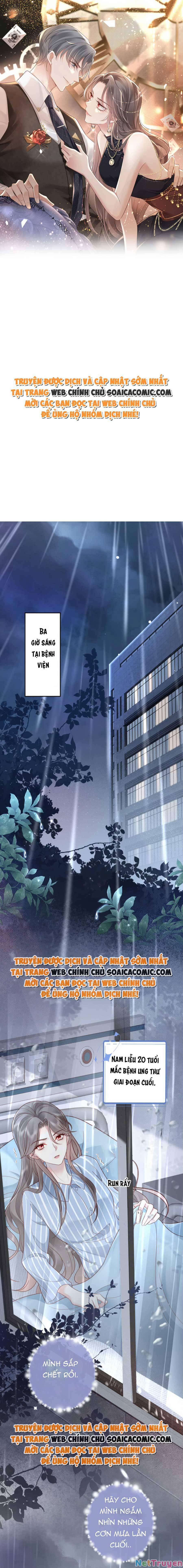 Xuyên Nhanh: Bệnh Kiều Đại Lão Cứ Dính Người 1 trang 0