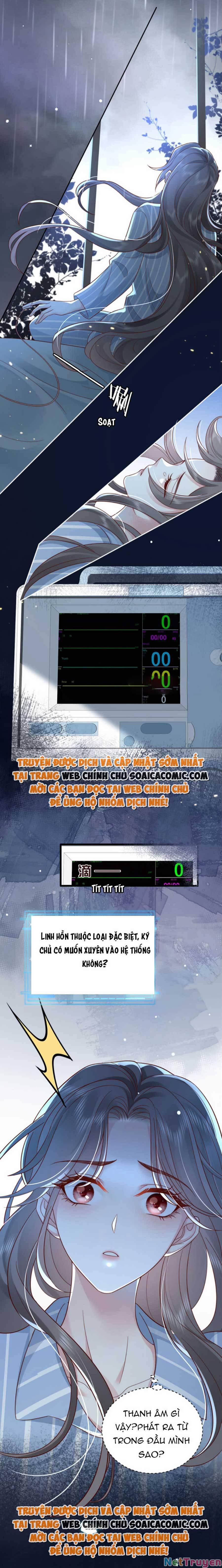 Xuyên Nhanh: Bệnh Kiều Đại Lão Cứ Dính Người 1 trang 1