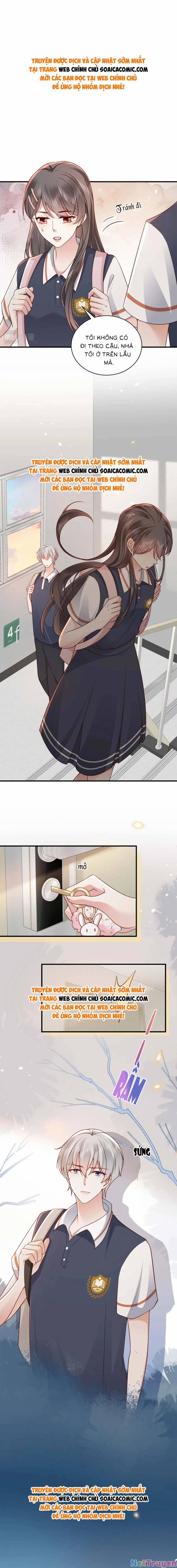 Xuyên Nhanh: Bệnh Kiều Đại Lão Cứ Dính Người 20 trang 0