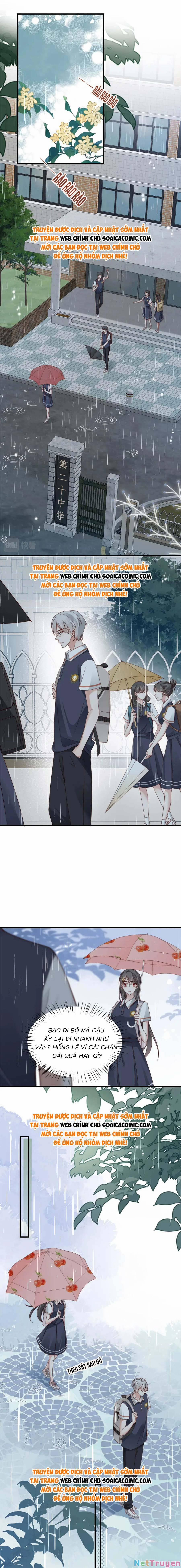 Xuyên Nhanh: Bệnh Kiều Đại Lão Cứ Dính Người 21 trang 4