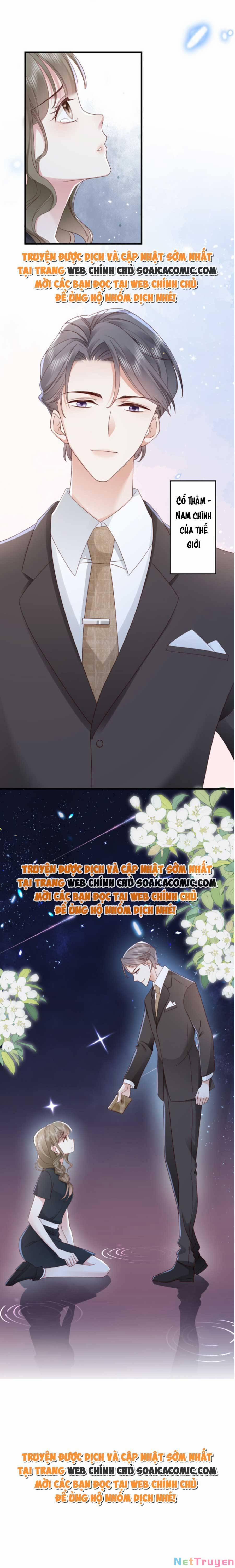 Xuyên Nhanh: Bệnh Kiều Đại Lão Cứ Dính Người 6 trang 10