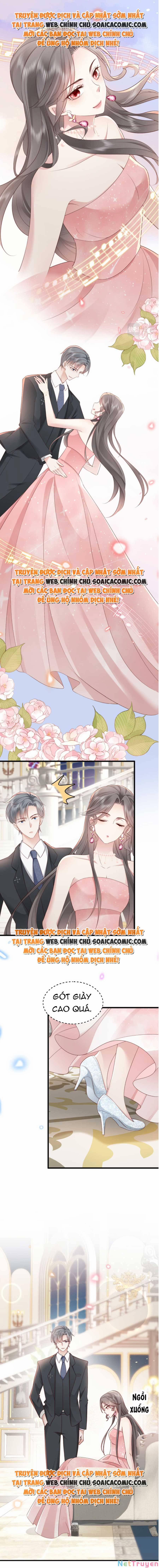 Xuyên Nhanh: Bệnh Kiều Đại Lão Cứ Dính Người 6 trang 6